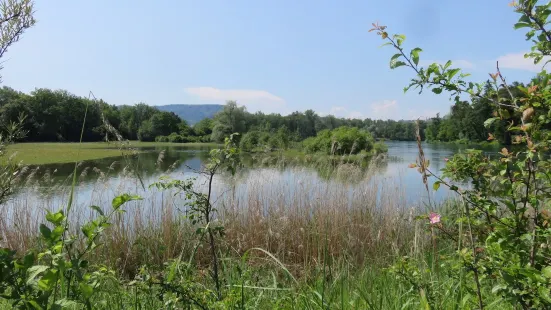 Naturzentrum Thurauen