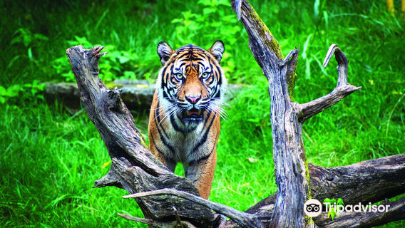 Nashville Zoo at Grassmere