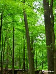 Trailside Nature & Science Center