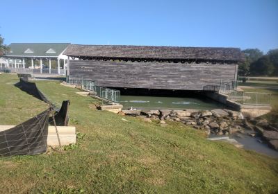 Coldwater Covered Bridge