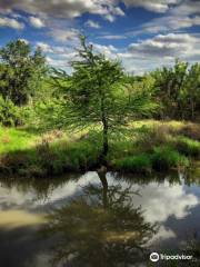 Frontera Audubon