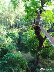 Lake Manyara Treetop Walkway