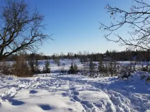 Stonewall Quarry Park