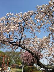 Shironouchi Park