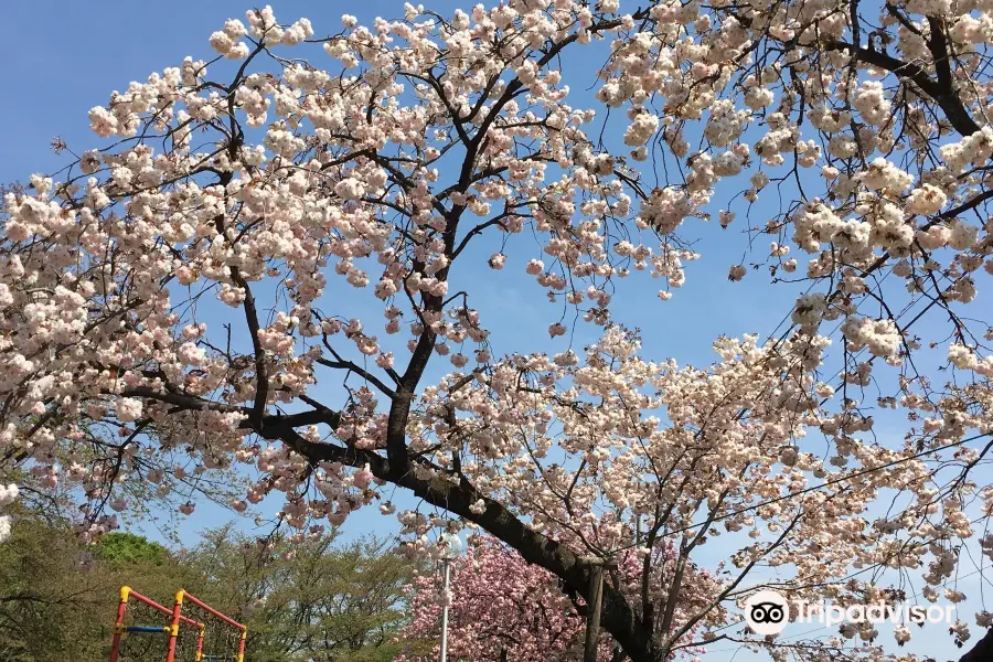 Shironouchi Park