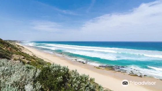Portsea Back Beach
