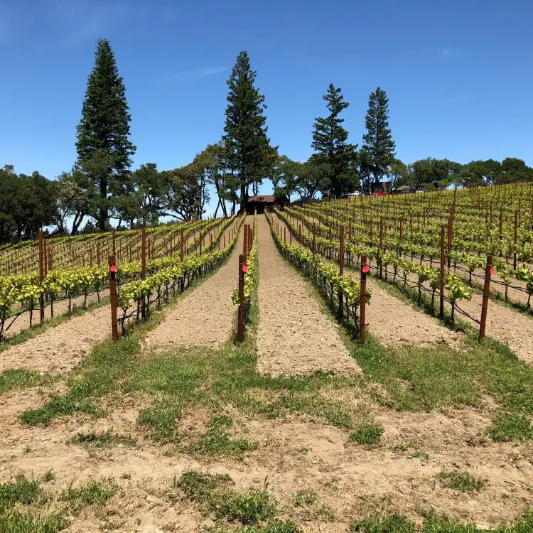 Portola Valley