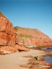 Exmouth & Orcombe Point Walk