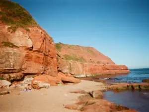 Exmouth & Orcombe Point Walk