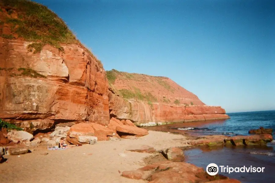 Exmouth & Orcombe Point Walk