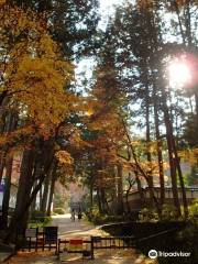 Itohara Family Garden