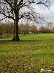 Buile Hill Park