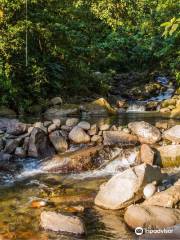 Finca Ecologica San Luis