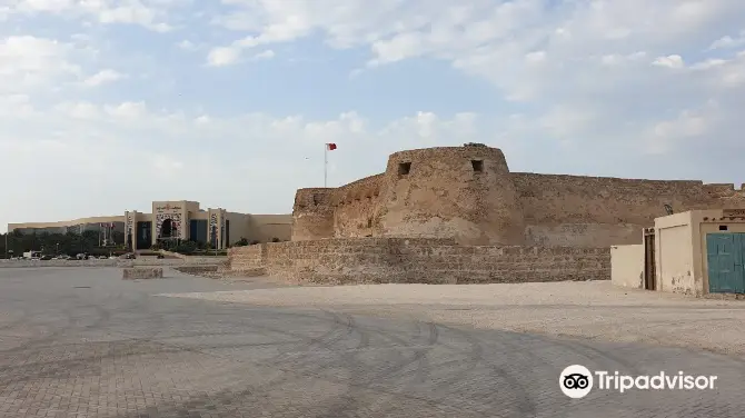 4_Arad Fort