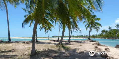 Tatuamunha Beach