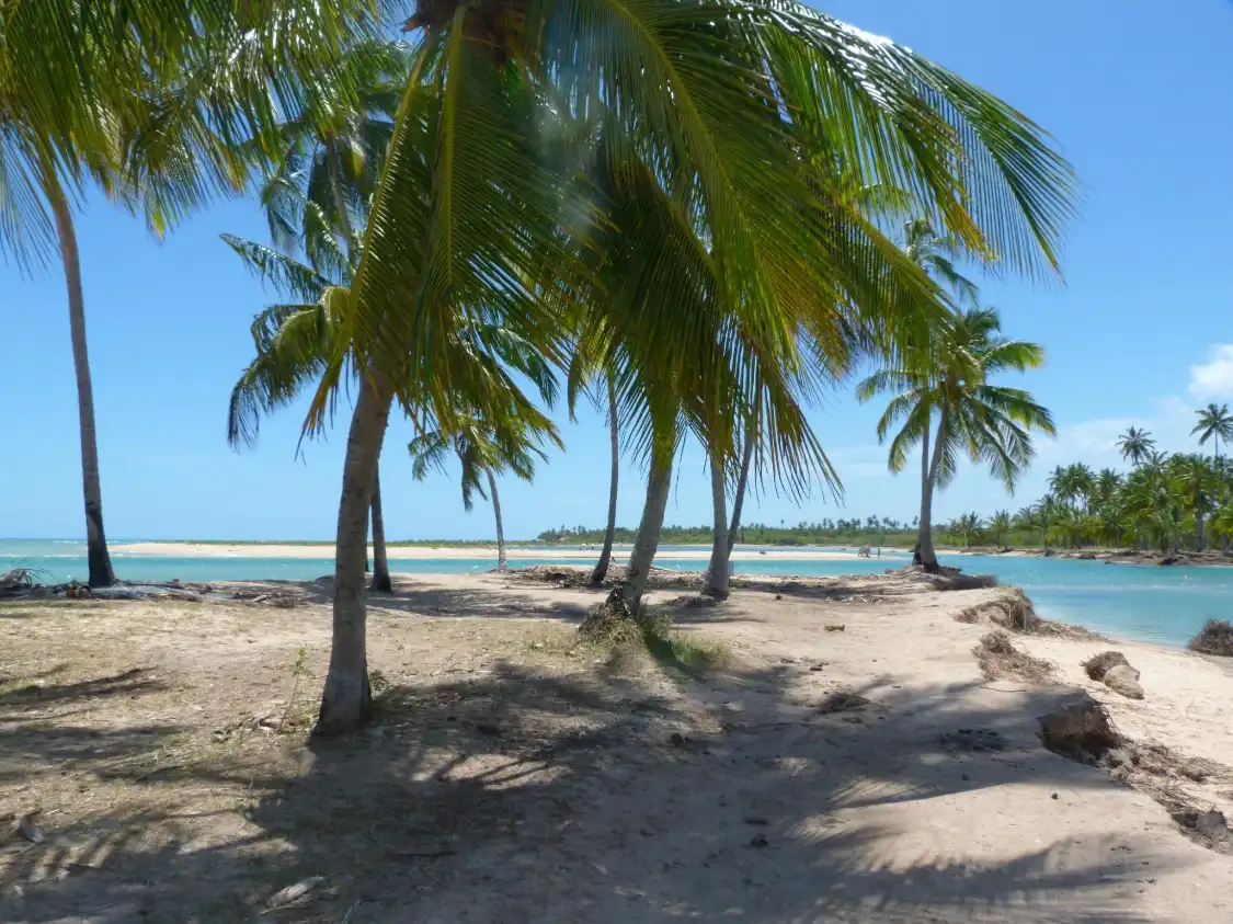Hotels near Tatuamunha Beach