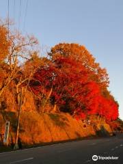 Hieizan Driveway (Tanotani South Toll Booth)