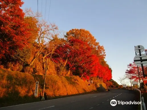 Hieizan Driveway (Tanotani South Toll Booth)