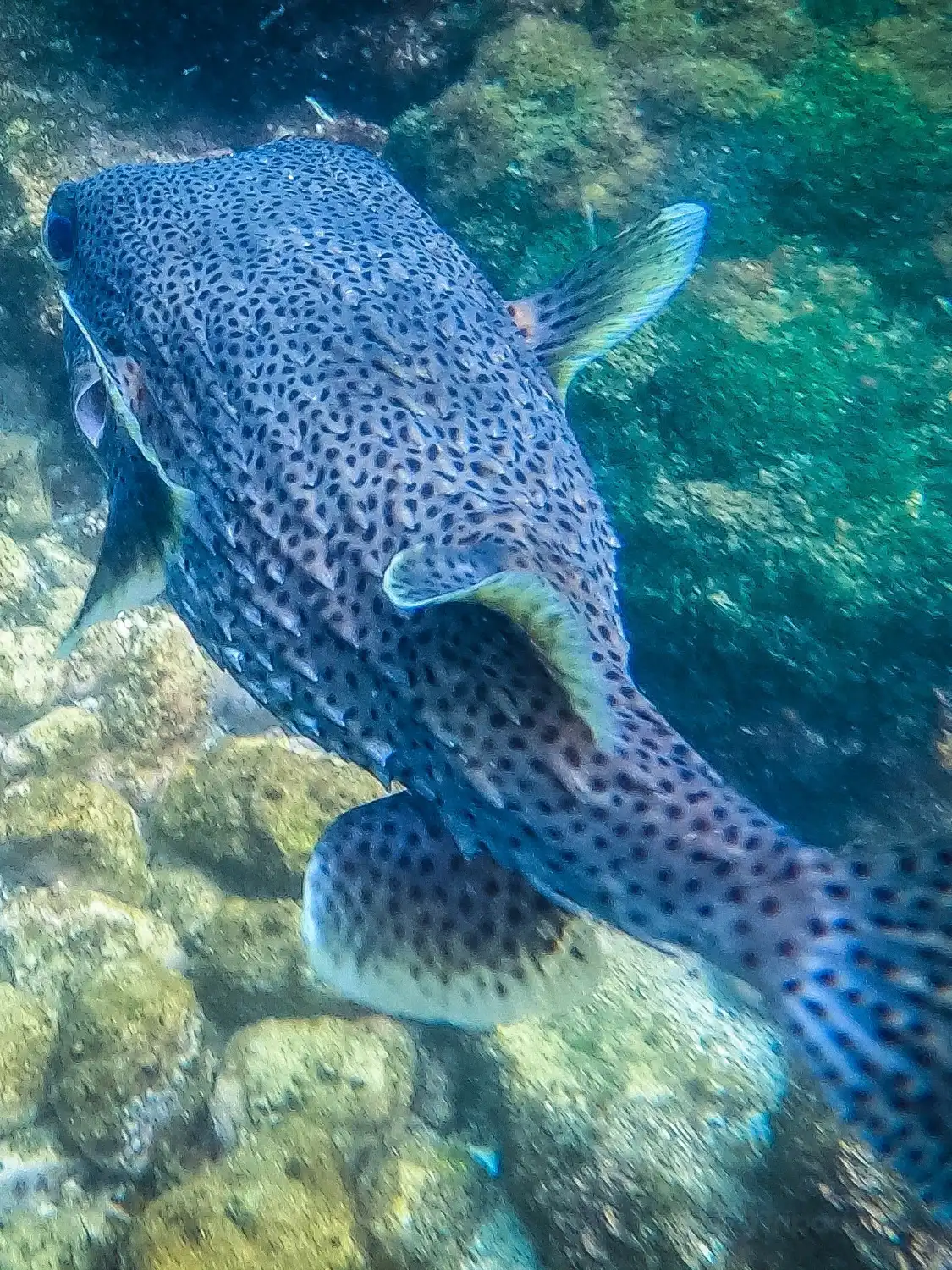 Hotels near Gold Coast Dive Centre & Marine Training College