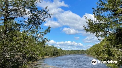 Bass River State Forest