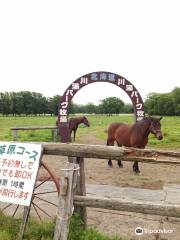 川湯パーク牧場