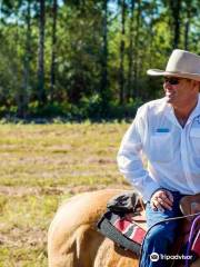 Rainbow Beach Horse Rides