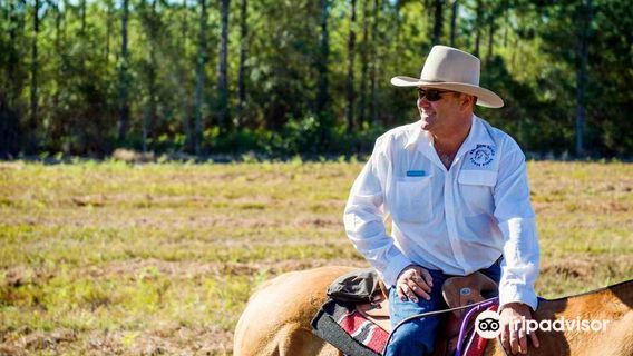 Rainbow Beach Horse Rides