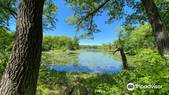 Lake Maria State Park
