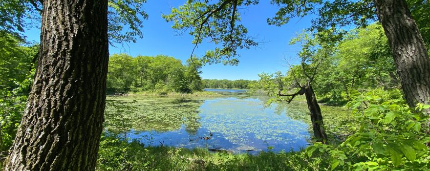 Lake Maria State Park