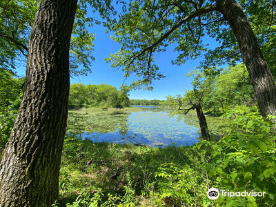 Lake Maria State Park
