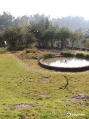 Jardín Botánico Mapulemu