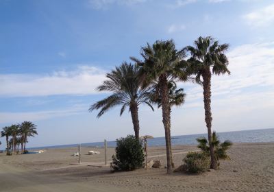 Playa Los Barquicos