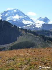 Skyline Divide