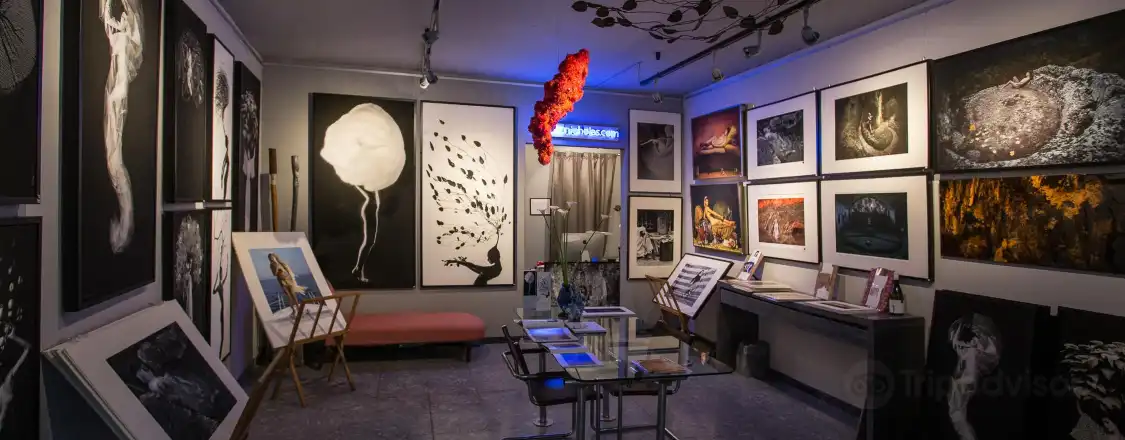 Hotels near Patrick Richmond Nicholas Photo Gallery