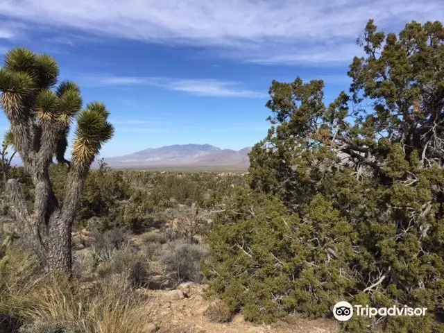 Teutonia Peak