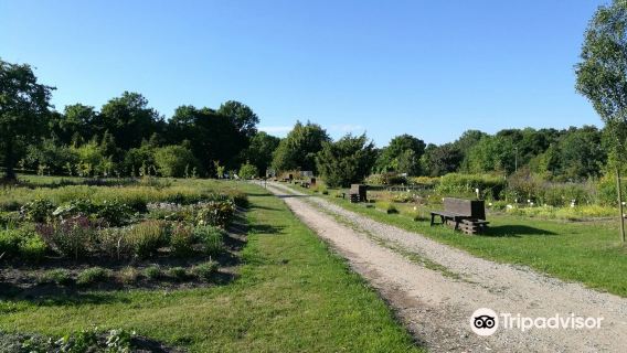 Klaipėda University Botanical Garden