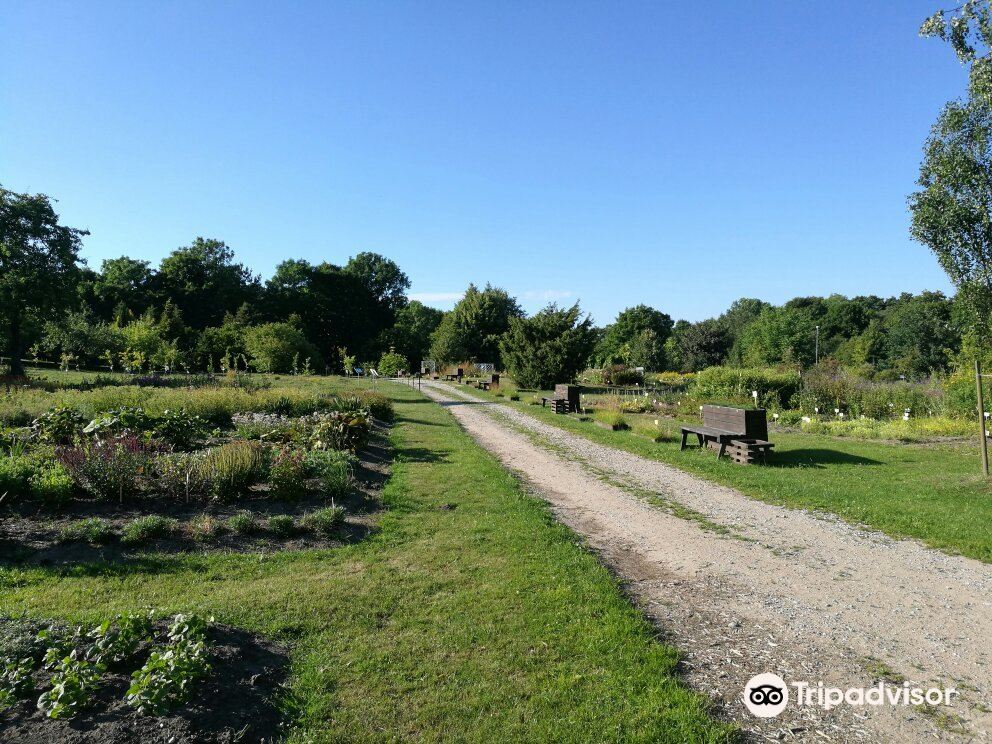 Klaipėda University Botanical Garden