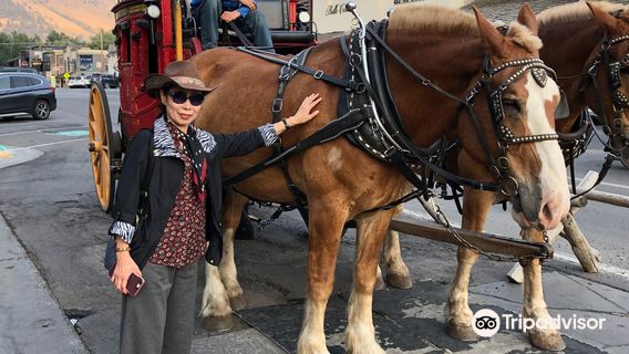 Castagno Outfitters Chuckwagon Dinner