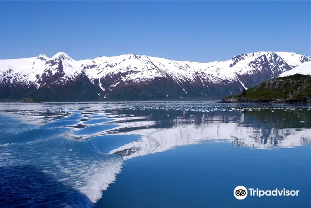 Resurrection Bay