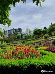 Le Jardin Parque de Lavanda