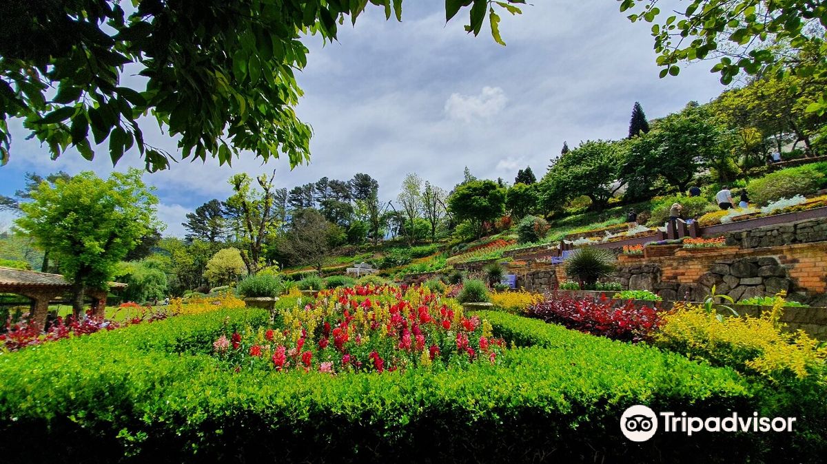 Le Jardin Parque de Lavanda