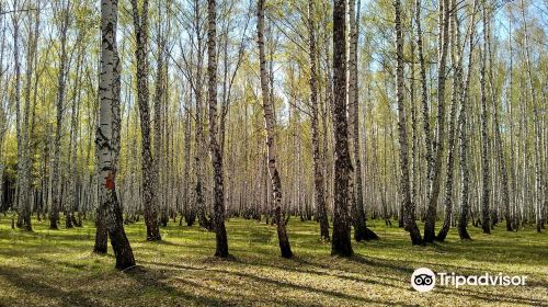 Forest Park of Gagarin