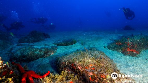 DivingCanarias