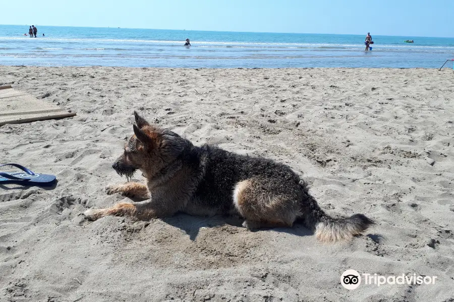 Spiaggia della Brussa