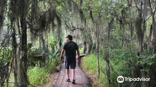 Barataria Preserve