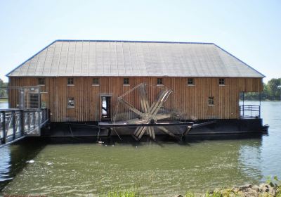 Schiffsmühle Ginsheim am Rhein