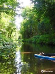 Leitrim Surf Company