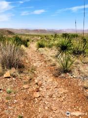 Chihuahuan Desert