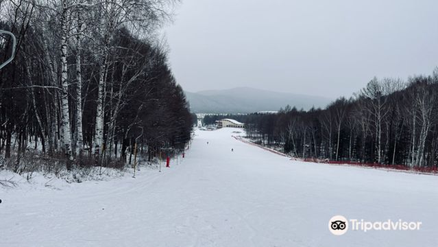 tie li ri yue xia hua xue chang