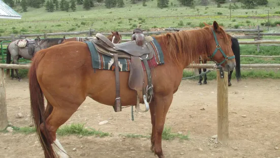 Platte Ranch Riding Stables